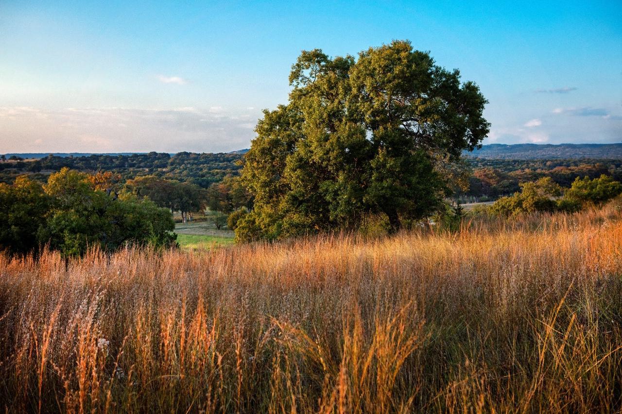 Joshua Creek Ranch Otel Boerne Dış mekan fotoğraf