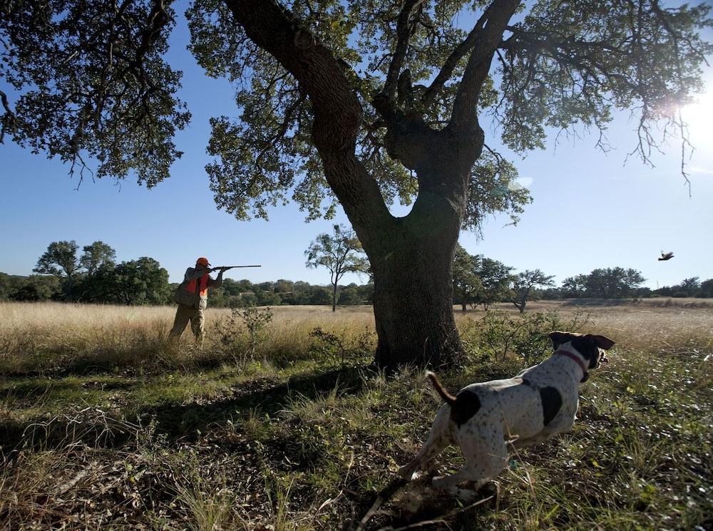 Joshua Creek Ranch Otel Boerne Dış mekan fotoğraf